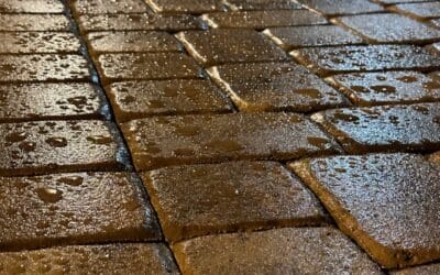 Professional Pressure Cleaning Matters in Palm Beach & Broward County